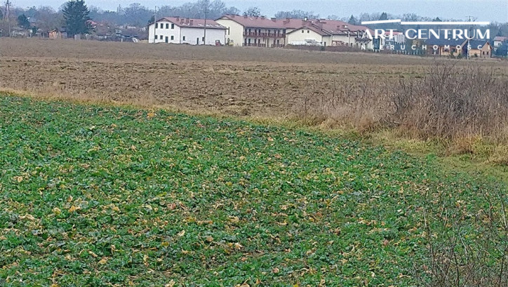 Działka Sprzedaż Ciechocinek 5