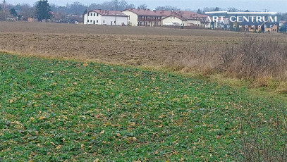 Działka Sprzedaż Ciechocinek