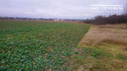 Działka Sprzedaż Ciechocinek Słońsk Górny
