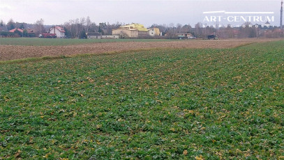 Działka Sprzedaż Ciechocinek Słońsk Górny