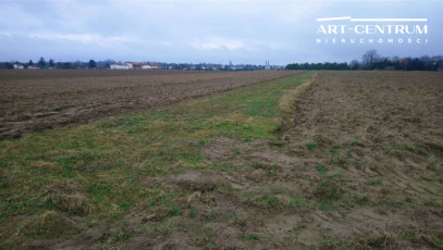 Działka Sprzedaż Ciechocinek Słońsk Górny