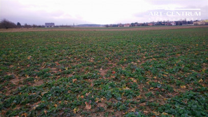 Działka Sprzedaż Ciechocinek Słońsk Górny