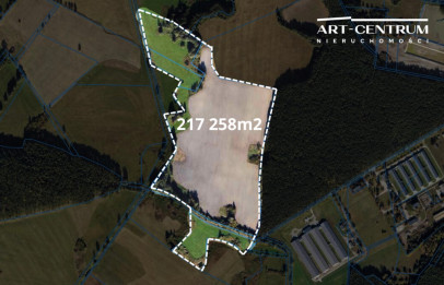 Działka Sprzedaż Brzoza