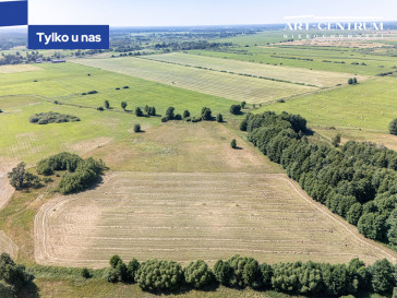 Działka Sprzedaż Nowe Dąbie