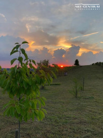 Działka Sprzedaż Zatoń Dolna